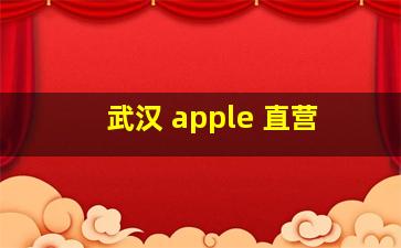 武汉 apple 直营